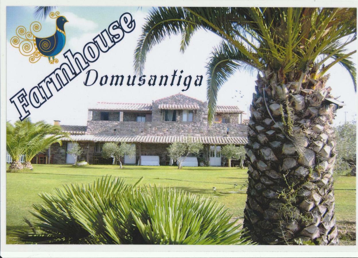 Domus Antiga Appartamenti ซานโจวานนีซูแอร์จู ภายนอก รูปภาพ