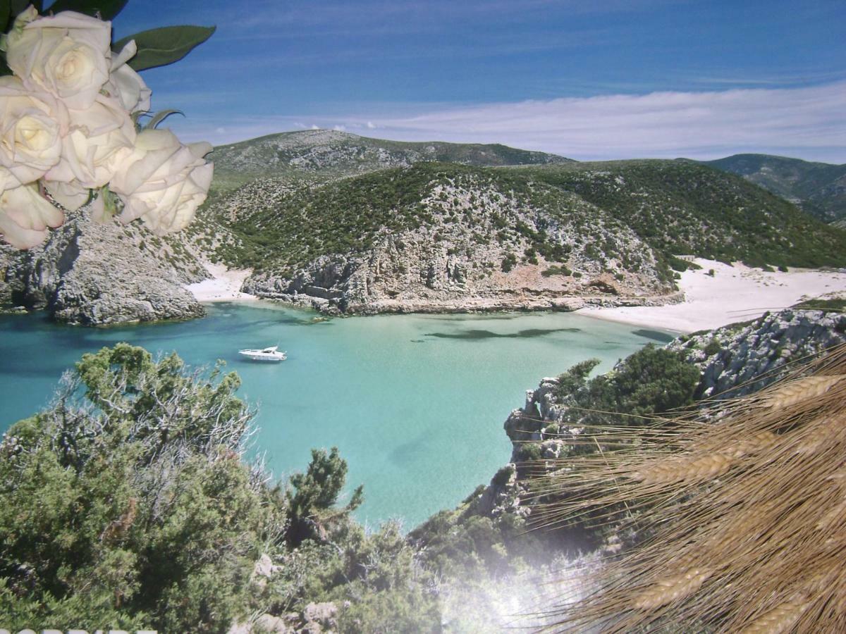 Domus Antiga Appartamenti ซานโจวานนีซูแอร์จู ภายนอก รูปภาพ